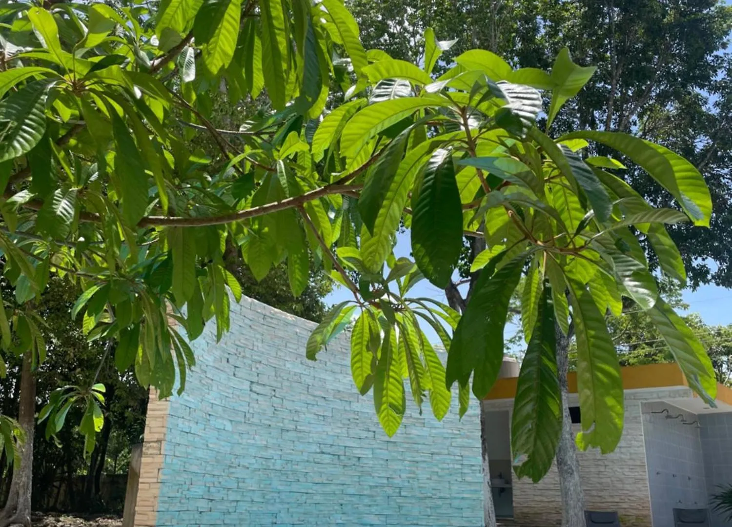 Ranch Las Chulas Hotel And Restaurant Puerto Morelos